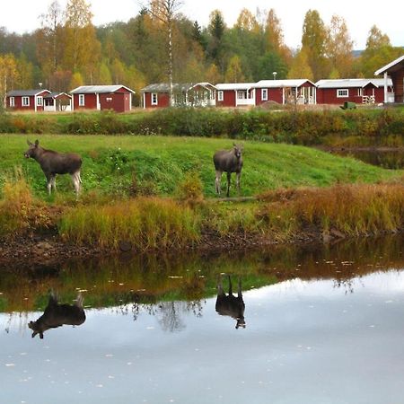 Klaraelvens Camping Stöllet Værelse billede