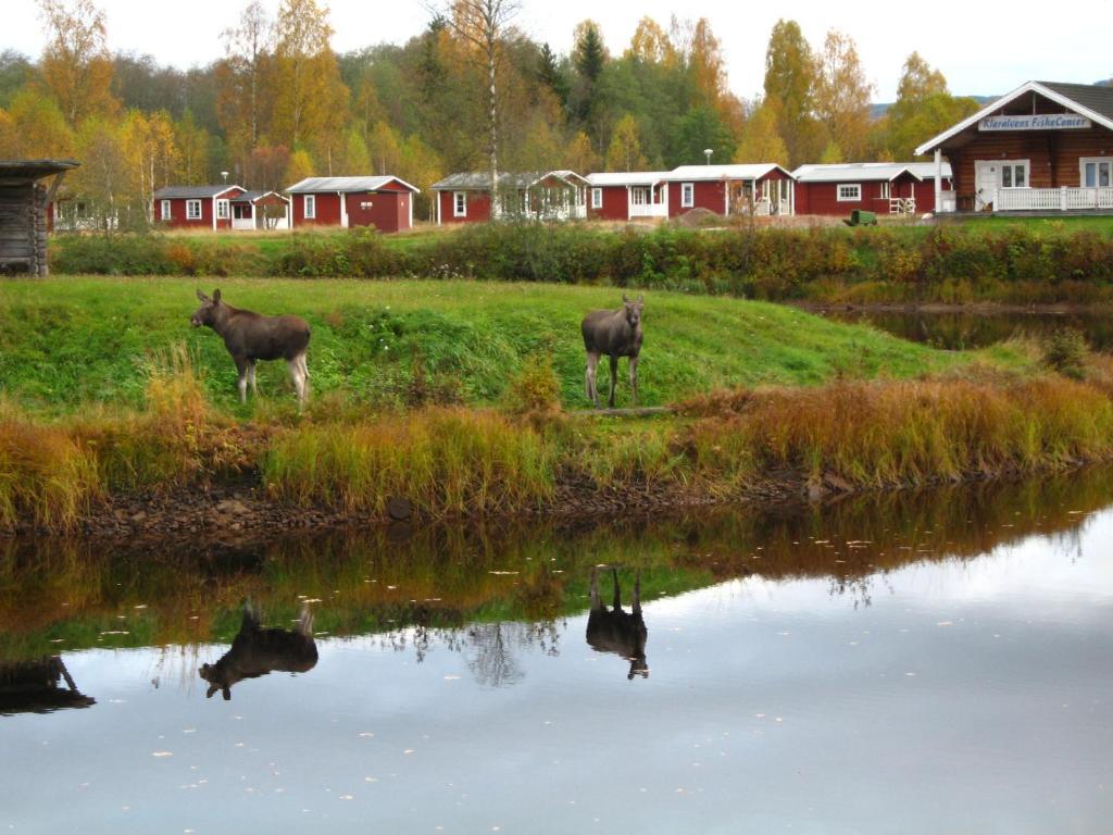 Klaraelvens Camping Stöllet Værelse billede